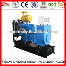 Weifang Ricardo generators diesel 8-200kw with CE